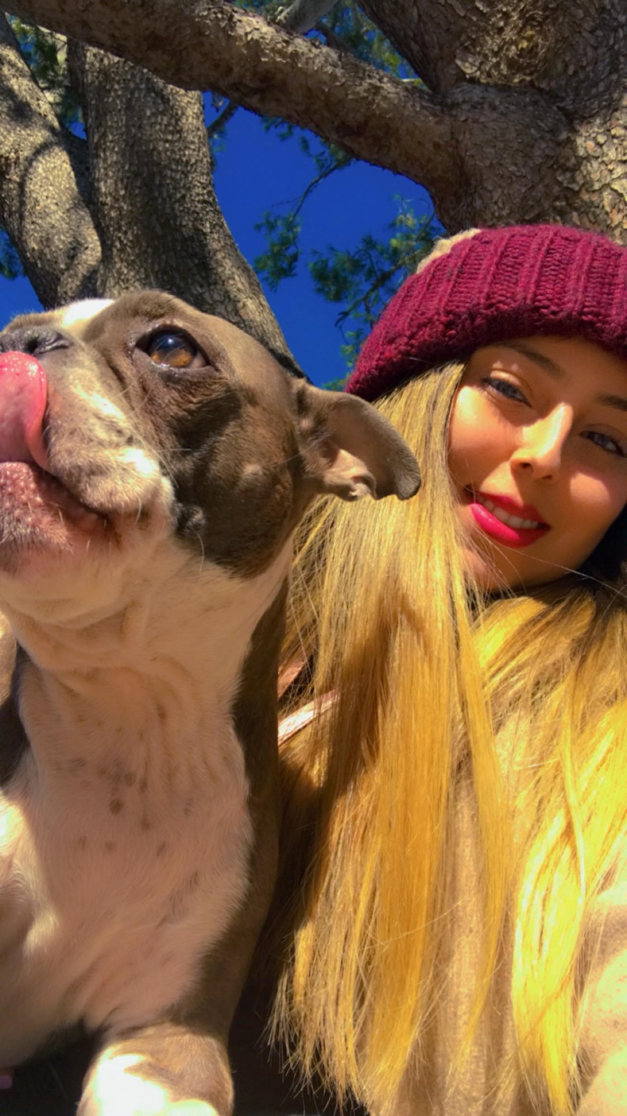 Helen outdoors hugging a bulldog
